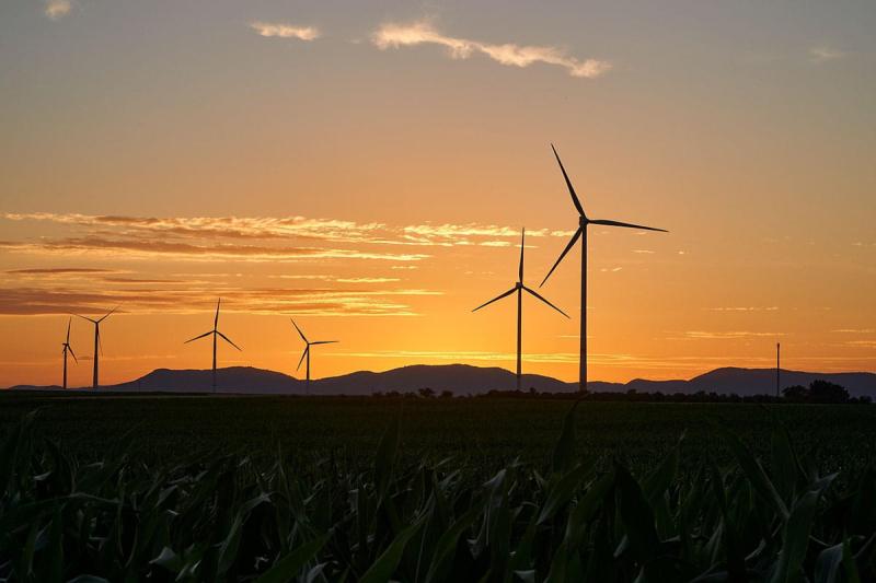 Wind turbines with the sunset behind them